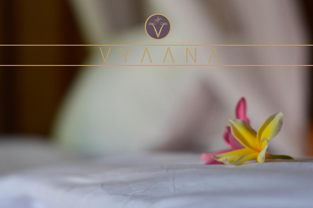 Vyaana 3*